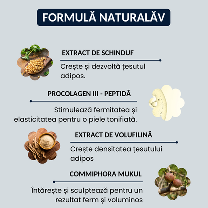 BUST'UP - PLASTURE PENTRU SÂNI