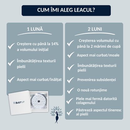 BUST'UP - PLASTURE PENTRU SÂNI